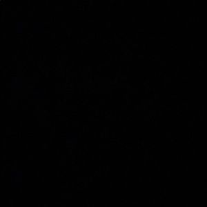 Meet your Posher, Benjamin